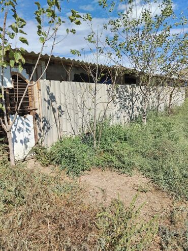 Torpaq sahələrinin satışı: 30 sot, Kənd təsərrüfatı, Mülkiyyətçi, Bələdiyyə — 14