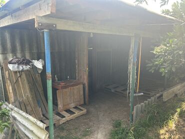 Torpaq sahələrinin satışı: 35 sot, Kənd təsərrüfatı, Mülkiyyətçi, Kupça (Çıxarış) — 11