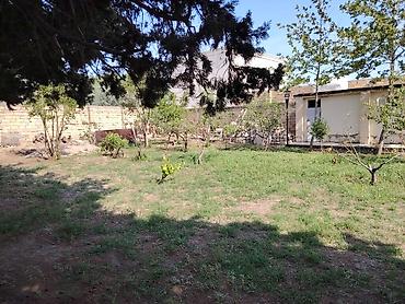 buzovnada torpaq: 5 sot, Tikinti, Makler, Kupça (Çıxarış) — 3