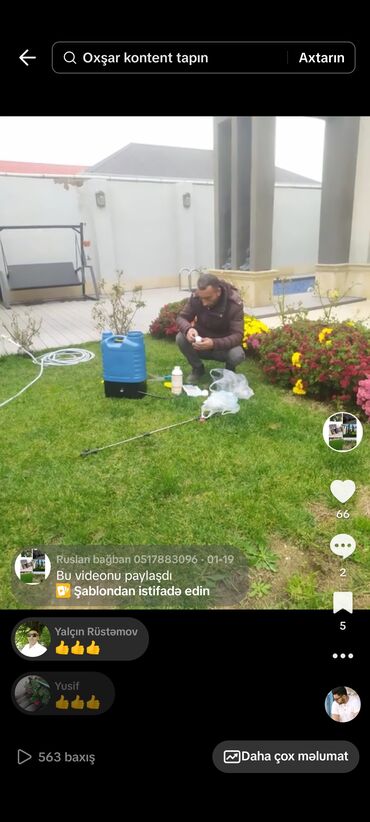 Landşaft işləri: Bütün növ ağcların qazonun güllərin biçilməsi sulaması dərmanlaması — 4