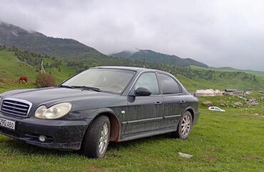 продаю лупарик: Hyundai Sonata: 2006 г., 2 л, Механика, Бензин, Седан