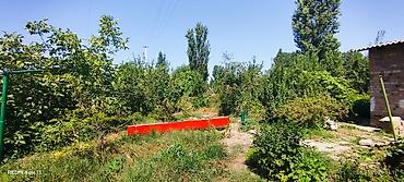 куплю поле: 6 соток, Для сельского хозяйства — 1