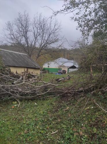 Torpaq sahələrinin satışı: 20 sot, Tikinti, Mülkiyyətçi, Kupça (Çıxarış), Texniki pasport — 17