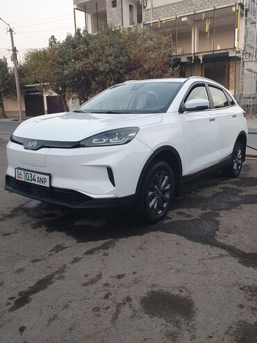 машина алам арзан: Weltmeister EX5, 2020 г., 150000 км, Алдыңкы, Бар