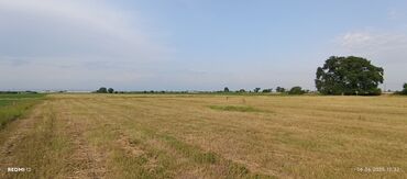 Torpaq sahələrinin satışı: Kənd təsərrüfatı — 7