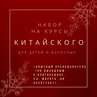 Языковые курсы: Языковые курсы Китайский Для взрослых, Для детей