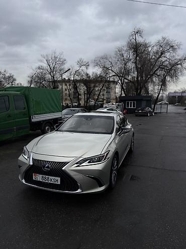 Lexus: Lexus ES: 2019 г., 2.5 л, Автомат, Бензин, Седан — 2