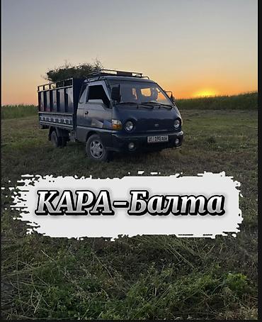 выезд ветеринара на дом: Заказать Хендай портер, Вывоз строй мусора, C грузчиком — 1