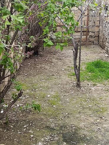 Qonaq otağı dəstləri: Masa və oturacaqlar — 18