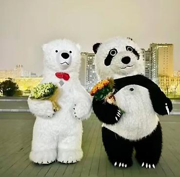 pubg mobile uc pulsuz: Salam panda geyim persanaji satilir 1 illik pandadir yeni alinib tek — 1