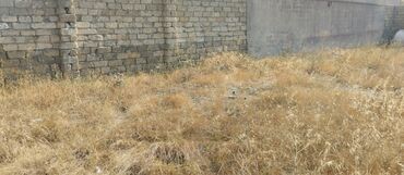 Torpaq sahələrinin satışı: 3 sot, Tikinti, Mülkiyyətçi, Kupça (Çıxarış) -da lalafo.az — 7 Torpaq sahələrinin satışı: 3 sot, Tikinti, Mülkiyyətçi, Kupça (Çıxarış) — 7