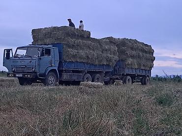 кепер арык: Сено в тюках (пресс-подборщик, стандартный прямоугольный тюк). - — 3