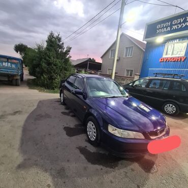 муссо 1: Honda Accord: 2001 г., 1.8 л, Автомат, Бензин, Седан