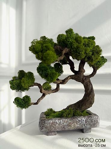 Декоративные цветы: Деревья-бонсай из натурального стабилизированного мха🌳 -это — 59