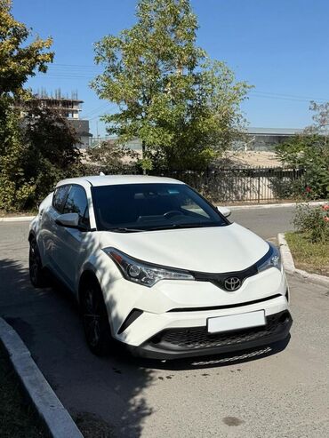 авто рассрочка бишкек фото: Toyota C-HR: 2018 г., 2 л, Автомат, Бензин