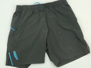 Trousers: Shorts for men, L (EU 40), condition - Very good