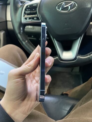 Apple iPhone: IPhone 13 Pro, Новый, 256 ГБ, Sierra Blue, Коробка, 79 % — 5