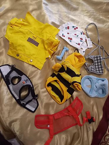 It üçün geyim +povodoklar. 3 povodok +geyimlər. Hamısı bir uerdə. 15
