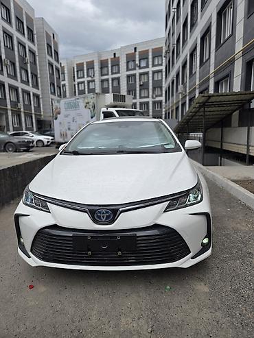 mini kuper: Toyota Corolla: 2021 г., 1.8 л, Гибрид, Седан — 1