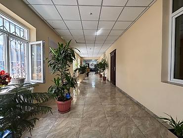 Продажа офисов: Продажа офисов 360 м², С ремонтом, С мебелью, Административное здание, 1 этаж — 15