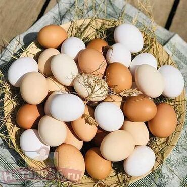 петушок шапка: Продаю яйца куриные!!! Оптом и в розницу 
С2,С1,С0,ЕХ.
Доставка есть
