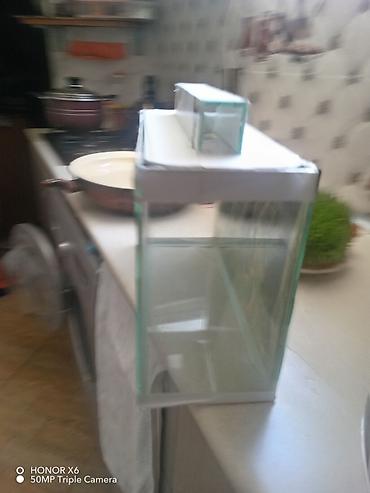 Akvariumlar: Şüşə akvarium Mənzərəli fonu var qiymət sondur - Şəffaf şüşədən — 5