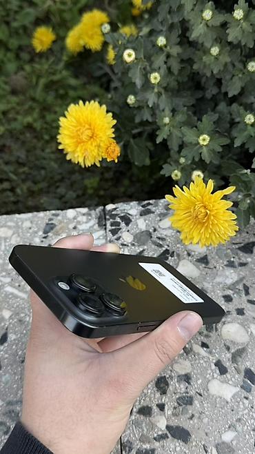 купить айфон 11 про в бишкеке: IPhone 15 Pro Max, Б/у, 256 ГБ, Black Titanium, Зарядное устройство, Защитное стекло, Чехол, В рассрочку, 89 % — 5