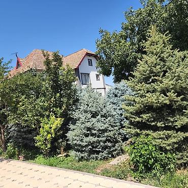 Үйлөрдү ижарага берүү: 300 м², 6 бөлмө жана андан көп, Арча-Бешик ж/м, Жаныбарлары жок — 4