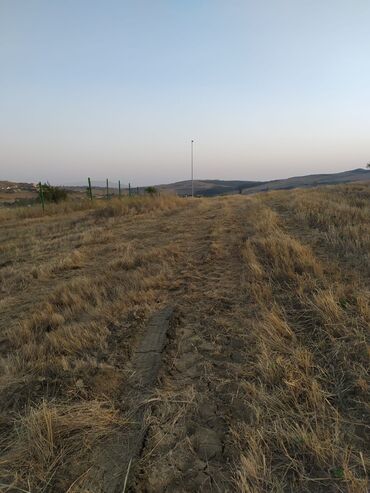Torpaq sahələrinin satışı: 300 sot, Kənd təsərrüfatı, Mülkiyyətçi -da lalafo.az — 12 Torpaq sahələrinin satışı: 300 sot, Kənd təsərrüfatı, Mülkiyyətçi — 12