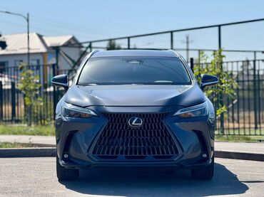 сидение на авто: Lexus NX: 2022 г., 2.5 л, Автомат, Бензин, Кроссовер