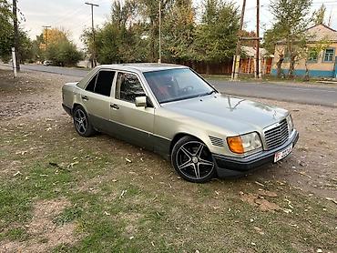 mers 814: Mercedes-Benz W124: 1993 г., 2.5 л, Механика, Дизель — 1