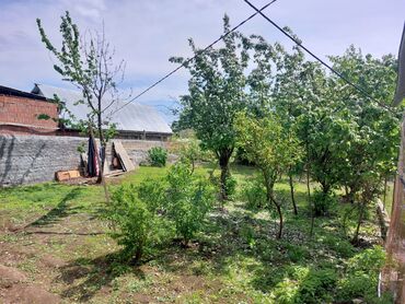 Həyət evləri və villaların satışı: 3 otaqlı, 800 kv. m, Kredit var, Orta təmir -da lalafo.az — 11 Həyət evləri və villaların satışı: 3 otaqlı, 800 kv. m, Kredit var, Orta təmir — 11