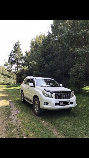 Toyota: Toyota Land Cruiser Prado: 2010 г., 4 л, Автомат, Бензин, Внедорожник