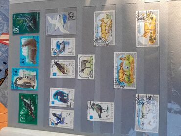 Markalar: Məhsul: Poçt markaları albomu Təsvir: - Başlıqda rus dilində — 4