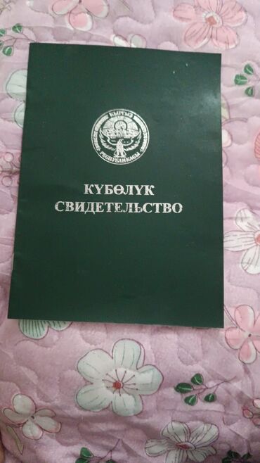земельные участки иссык куль: 120 соток, Для сельского хозяйства, Договор купли-продажи