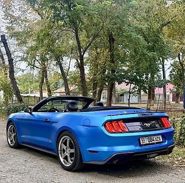 плёнка на машину: Ford Mustang: 2019 г., 2.3 л, Автомат, Бензин, Кабриолет — 9