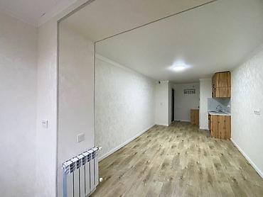 Продажа квартир: 1 комната, 23 м², парк Фучика Малосемейка, 3 этаж, Евроремонт — 5