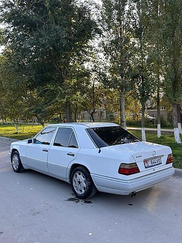 зеркала демио: Mercedes-Benz E-Class: 1993 г., 3.2 л, Автомат, Бензин, Седан — 4