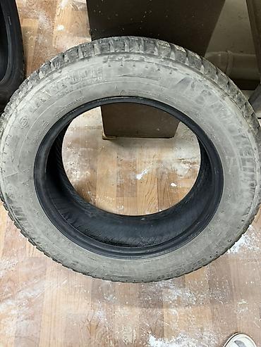 225 60 r17: Шипованная зимняя шина MICHELIN Особенности: - Диаметр посадки: R17 — 2