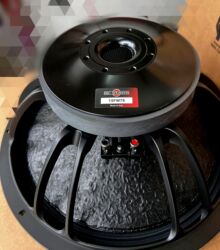 Qulaqcıqlar: Yeni Kolonka, Növ - Sabvufer, rəng - Qara