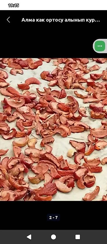 Другие фрукты: Алма как ортосу алынып күндүн нуруна кургатылган курук таптаза өрүк — 12