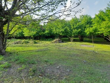 Torpaq sahələrinin satışı: 3 sot, Biznes üçün, Makler, Kupça (Çıxarış) -da lalafo.az — 11 Torpaq sahələrinin satışı: 3 sot, Biznes üçün, Makler, Kupça (Çıxarış) — 11