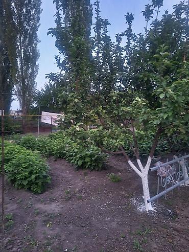 Продажа домов: Дом, 230 м², 5 комнат, Риэлтор, Евроремонт — 5