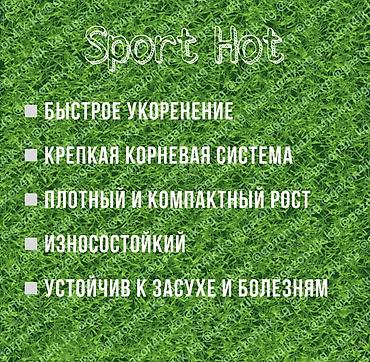манеж для игр: Газонные травосмеси для декоративных газонов, спортивных и детских — 4