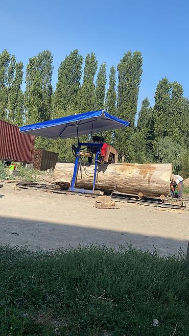 Бактарды кыюу, отундарды даярдоо: Кочмо пилорама#бактилебиз #ленточнаяпилорама #пилораманавыезд — 3