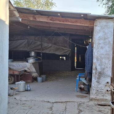 Продажа домов: Барачный, 45 м², 4 комнаты, Собственник, Евроремонт — 17