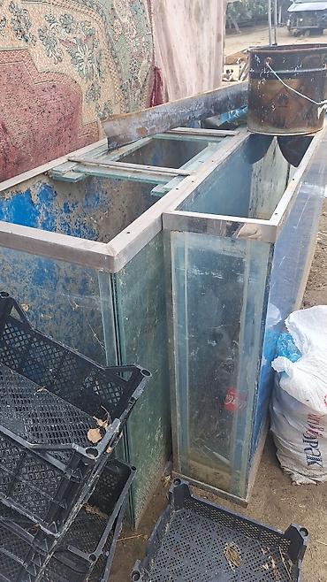 100 l akvarium: Şüşə vitrin/akvarium tipli böyük ölçülü konteynerlər - Material — 3