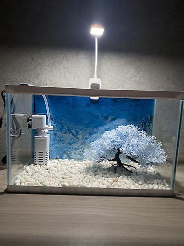 Akvariumlar: Hazır 12 Litr akvarium seti. İşlənməyib yenidir. Başqa yeni digər — 4