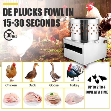 Digər kənd təssərüfat avadanlığı: Toyuq-kəklik-qırqovul-bildirçin- ördək-tüklərin təmizləyib yuyan -da lalafo.az — 12 Digər kənd təssərüfat avadanlığı: Toyuq-kəklik-qırqovul-bildirçin- ördək-tüklərin təmizləyib yuyan — 12