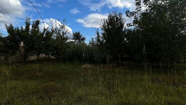 Torpaq sahələrinin satışı: 15 sot, Tikinti, Makler, Kupça (Çıxarış) — 15